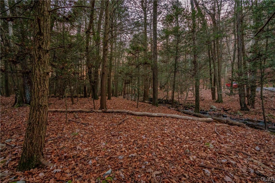 0 Laurel Road Lehighton, PA 18235 - Photo 8 of 17 a view of house with trees
