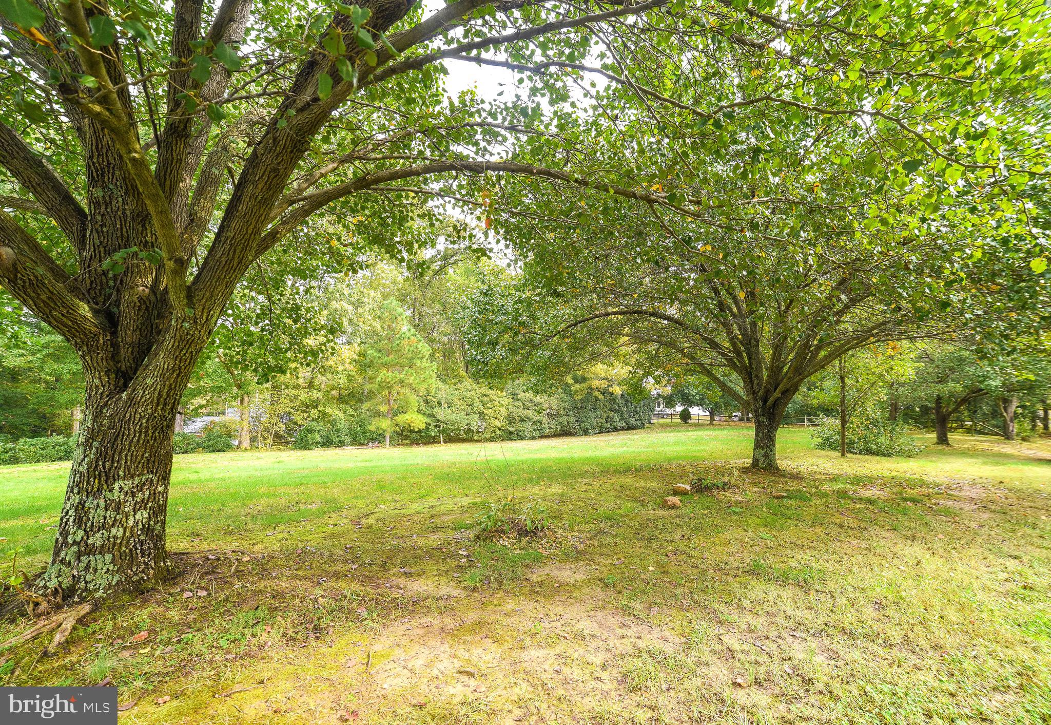 45524 Drayden Road Valley Lee, MD 20692 - Photo 50 of 51 Beautiful trees on this property