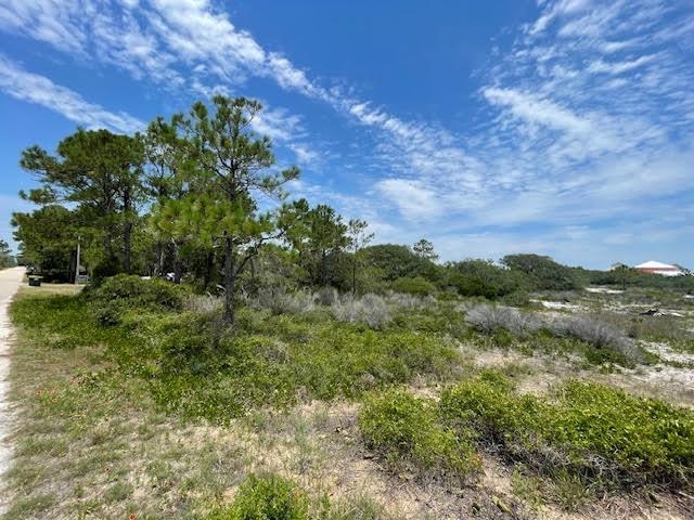 0 Veterans Road Gulf Shores, AL 36542 - Photo 5 of 7