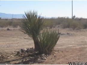 3757 Eloy Road Golden Valley, AZ 86413 - Photo 32 of 36 Gallery Image 32