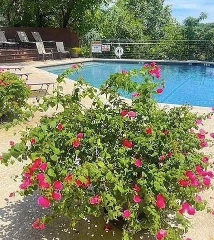 a view of yard with flowers and flowers