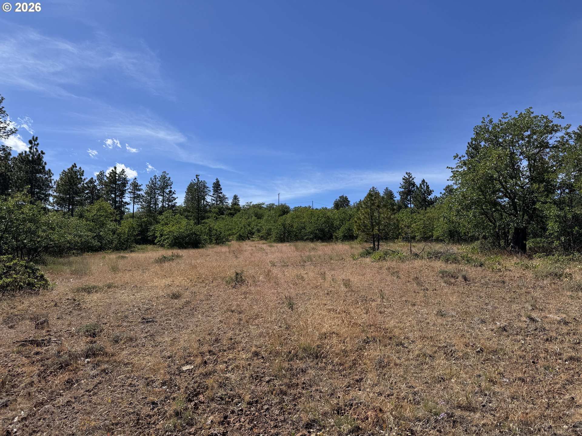 112 Timber Road Roosevelt, WA 99356 - Photo 28 of 31