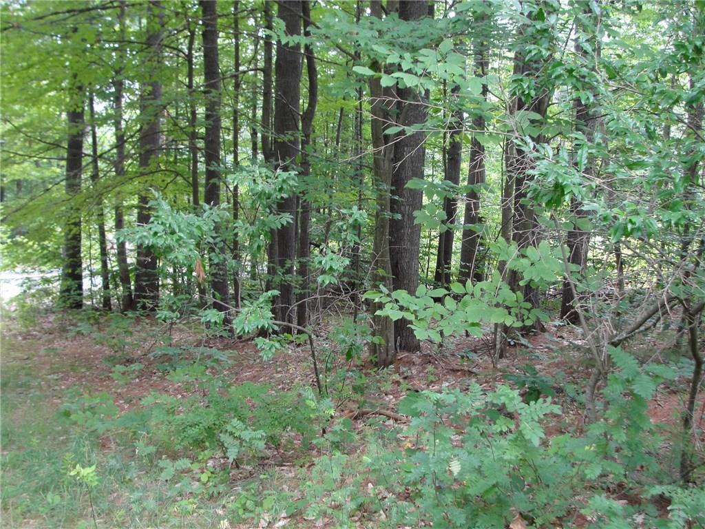 0 South Bridgton Road Bridgton, ME 04009 - Photo 8 of 11 Photo