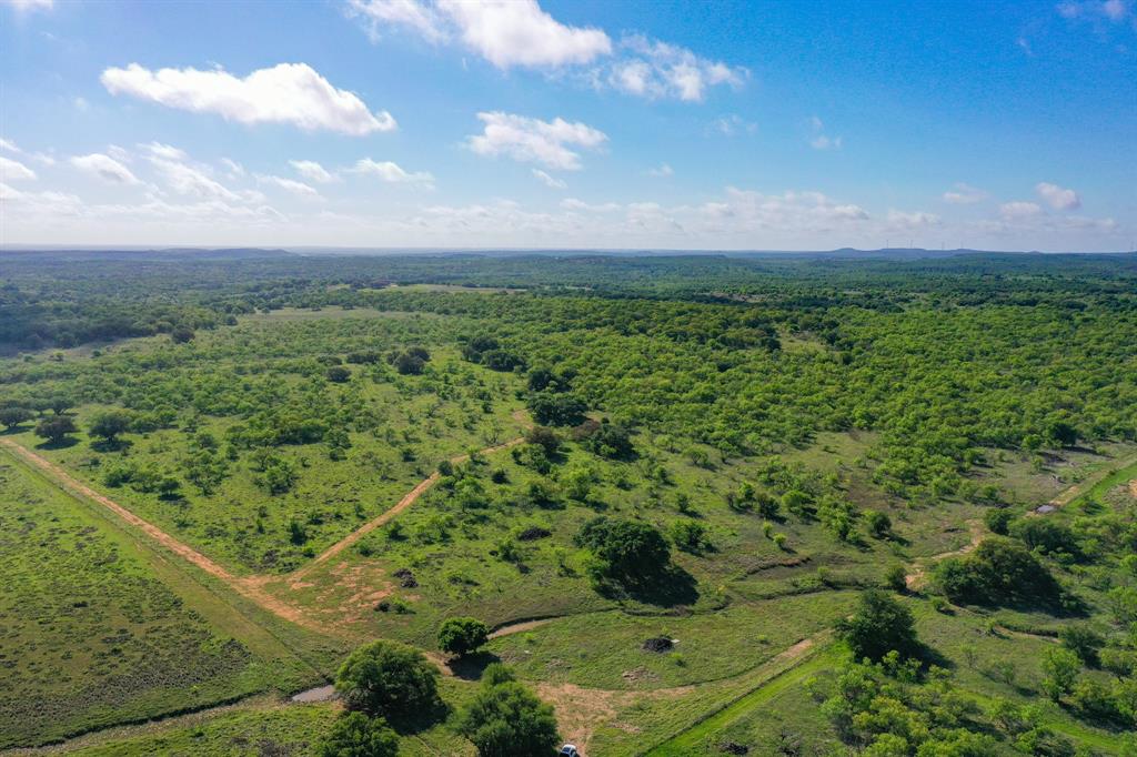 Tbd Roney Road Jacksboro, TX 76458 - Photo 12 of 40 a view of a green field