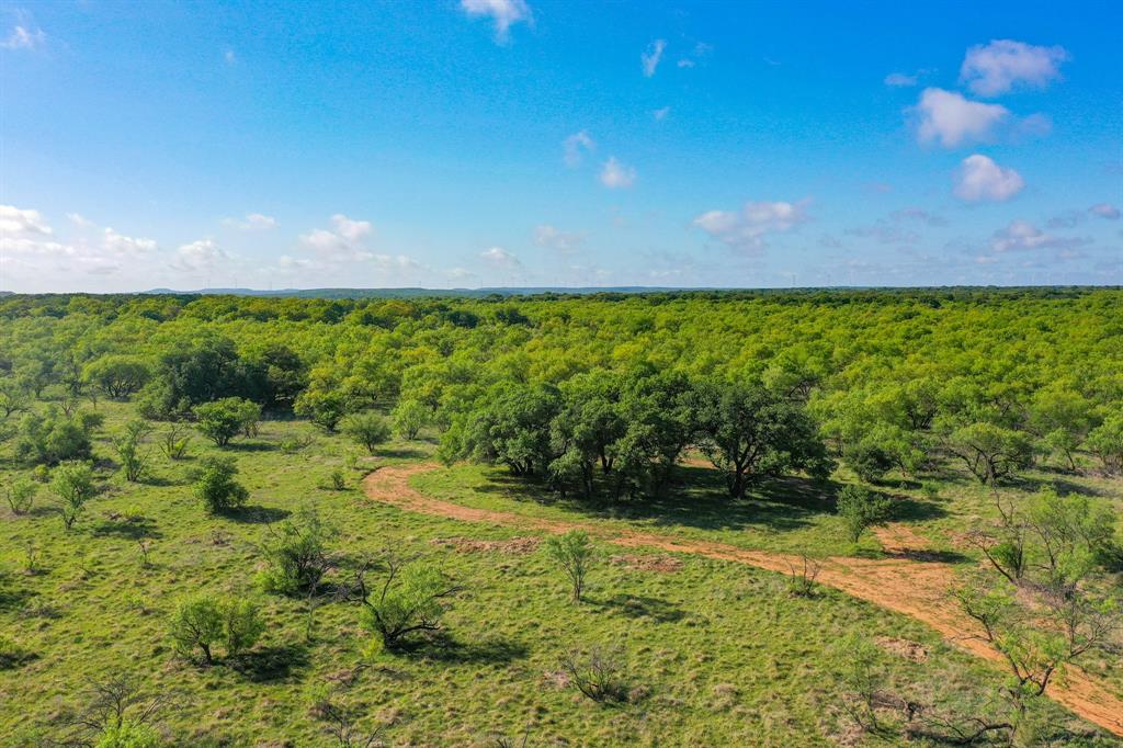 Tbd Roney Road Jacksboro, TX 76458 - Photo 13 of 40 a view of yard with swimming pool