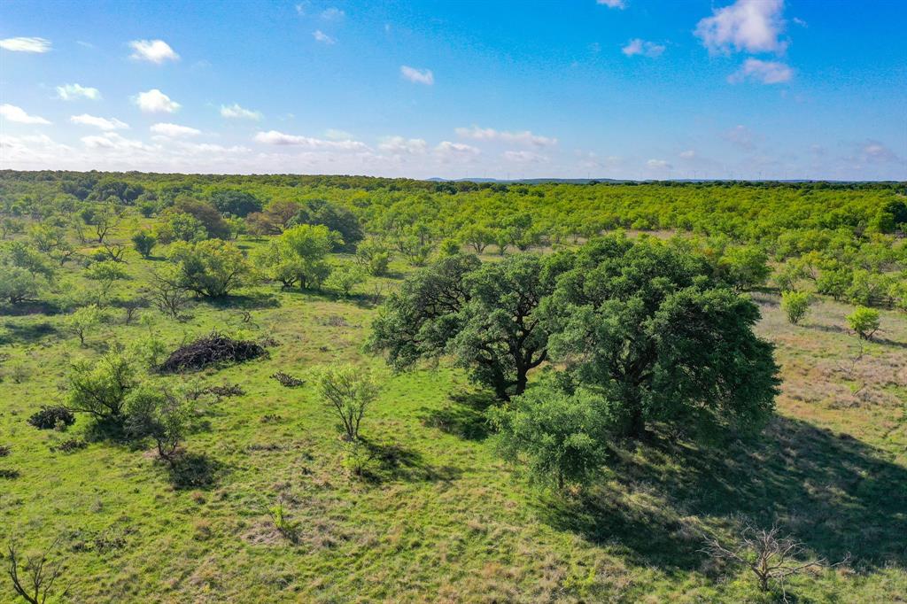 Tbd Roney Road Jacksboro, TX 76458 - Photo 15 of 40 a view of yard with green space