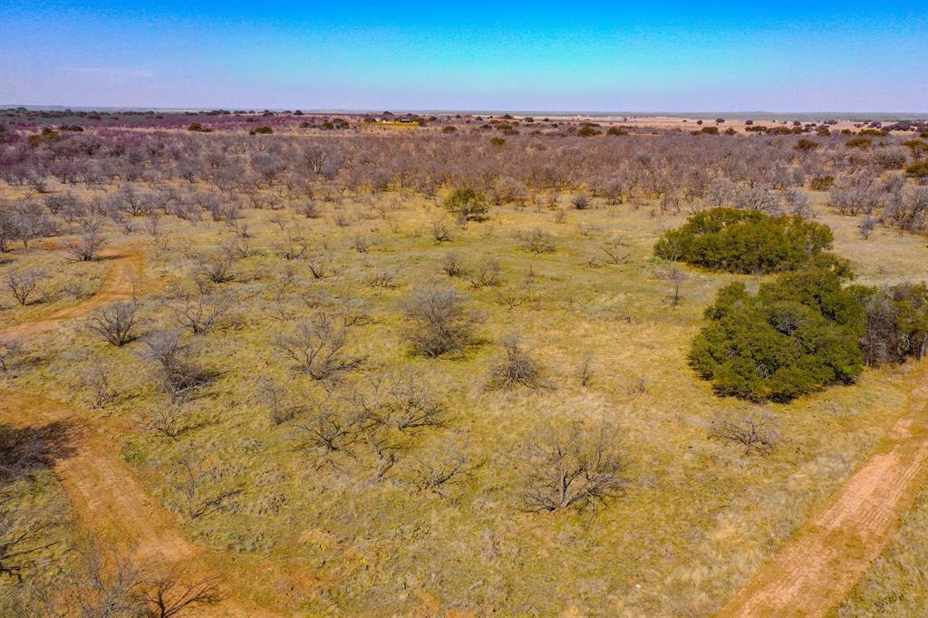 Tbd Roney Road Jacksboro, TX 76458 - Photo 16 of 35 a view of city and ocean
