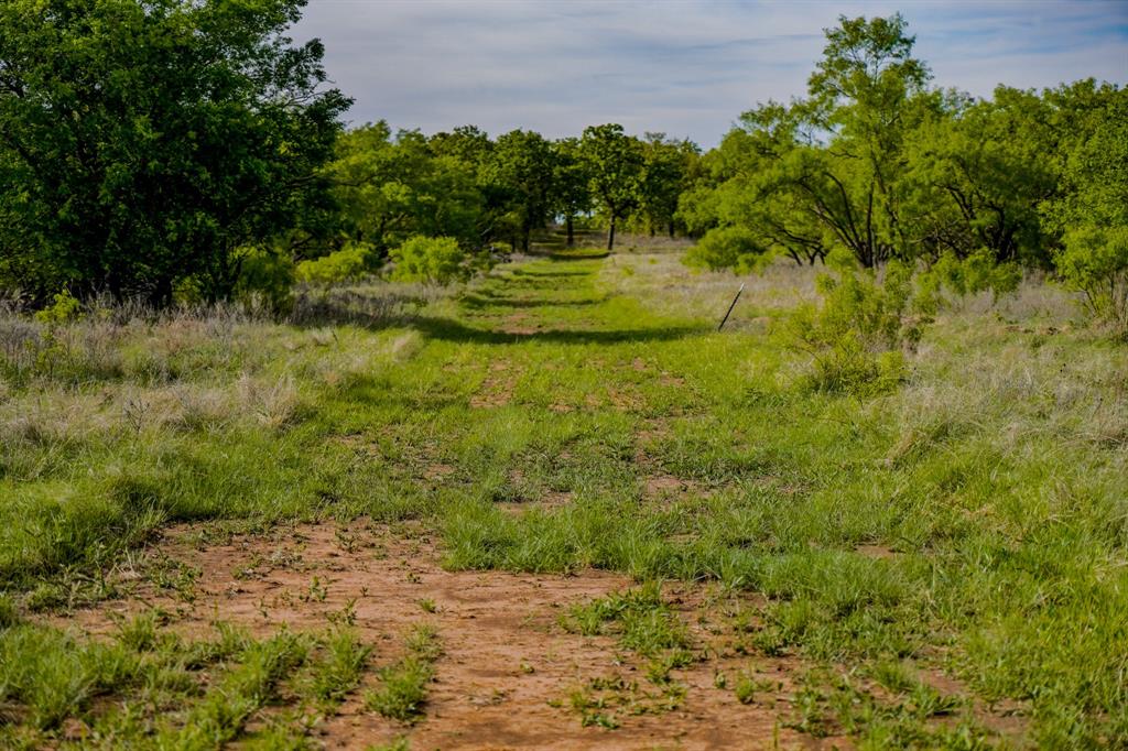 Tbd Roney Road Jacksboro, TX 76458 - Photo 16 of 40 a view of a yard with a tree