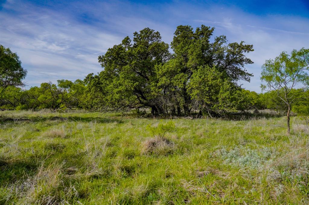 Tbd Roney Road Jacksboro, TX 76458 - Photo 17 of 40 a view of a yard