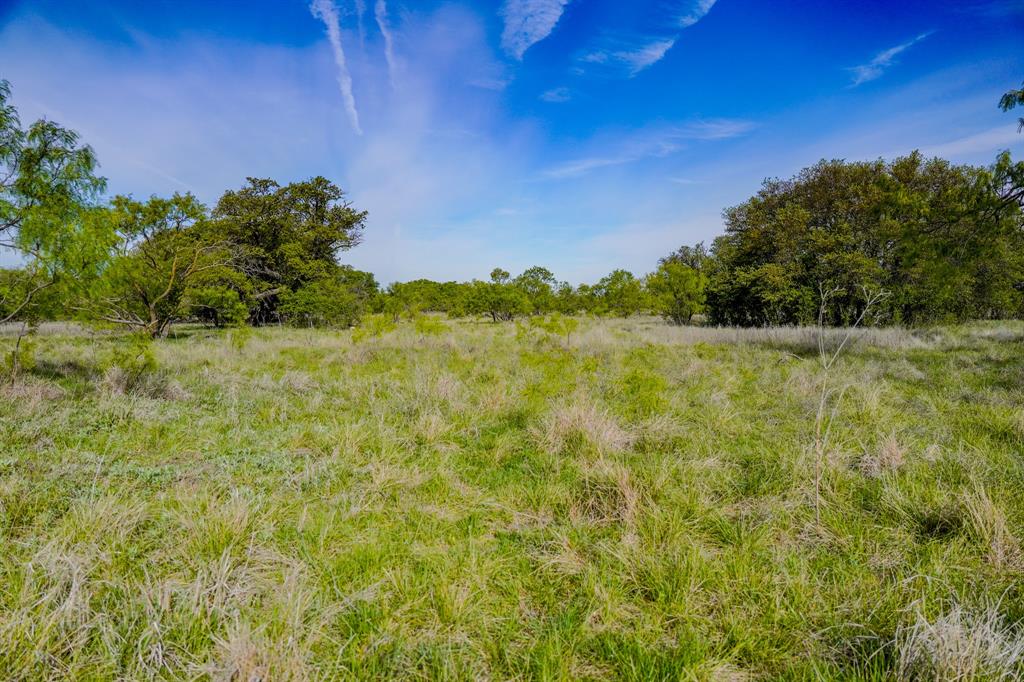 Tbd Roney Road Jacksboro, TX 76458 - Photo 18 of 40 a view of a yard with a tree