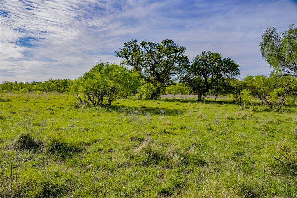 Tbd Roney Road Jacksboro, TX 76458 - Photo 19 of 40 a view of a garden