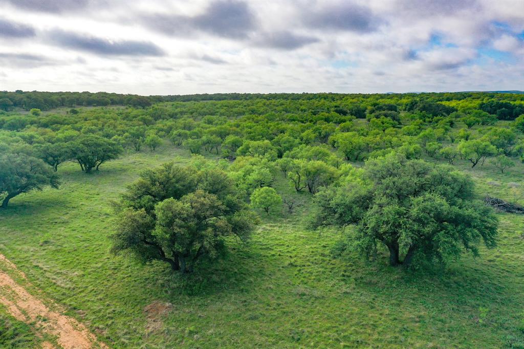 Tbd Roney Road Jacksboro, TX 76458 - Photo 2 of 40 a view of a green field with lots of bushes