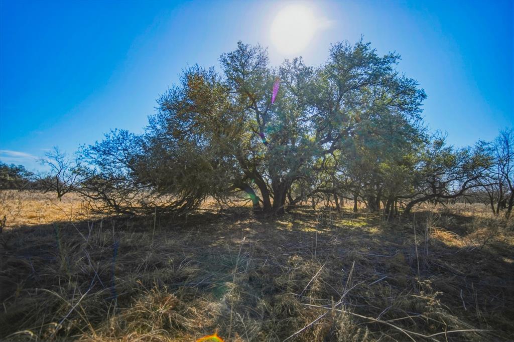 Tbd Roney Road Jacksboro, TX 76458 - Photo 2 of 35 a view of mountain view with lots of trees