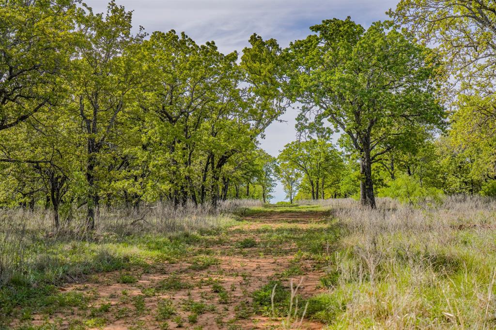 Tbd Roney Road Jacksboro, TX 76458 - Photo 21 of 40 a view of a yard with a tree