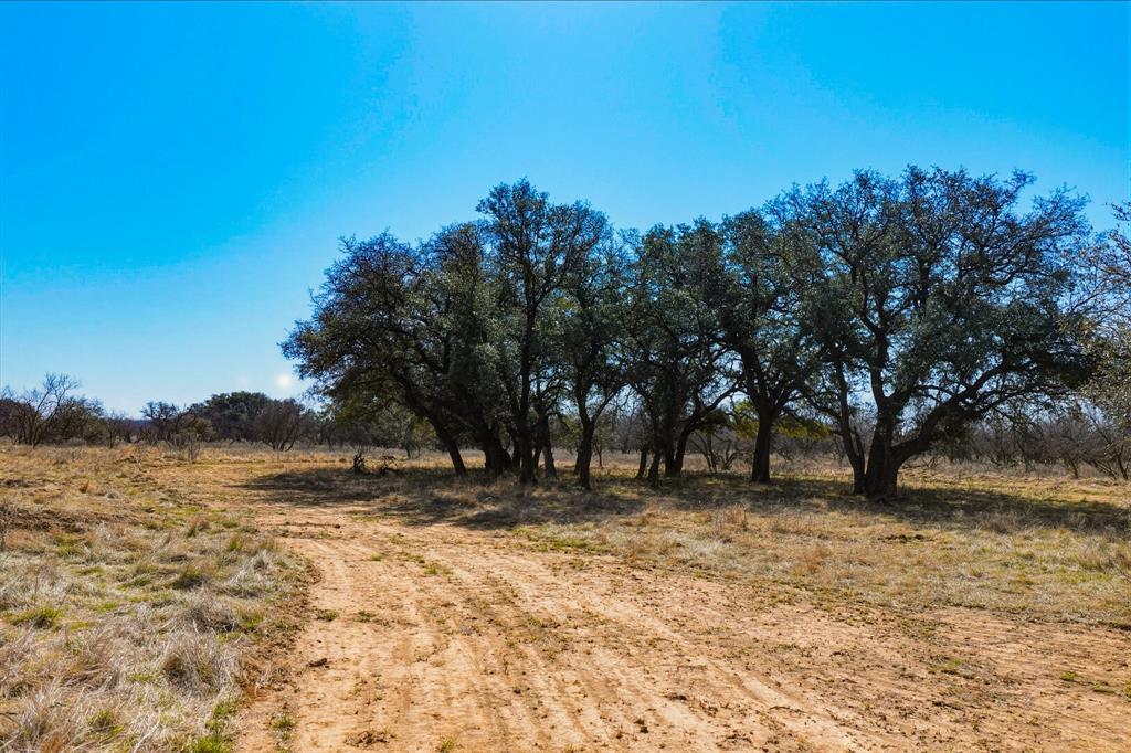 Tbd Roney Road Jacksboro, TX 76458 - Photo 21 of 35 a view of outdoor space with trees