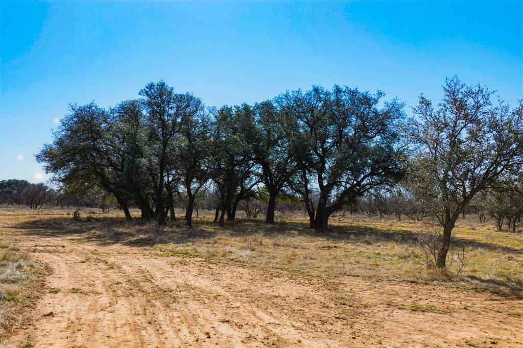 Tbd Roney Road Jacksboro, TX 76458 - Photo 22 of 35 a view of outdoor space with trees