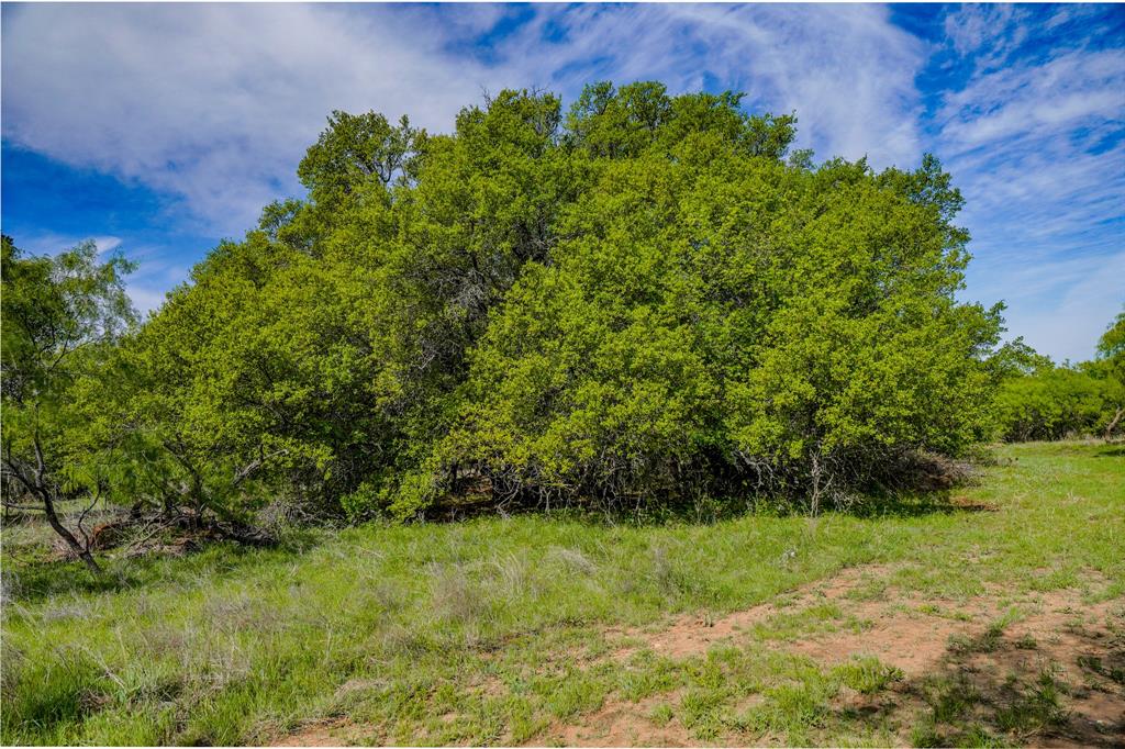 Tbd Roney Road Jacksboro, TX 76458 - Photo 24 of 40 a view of a yard
