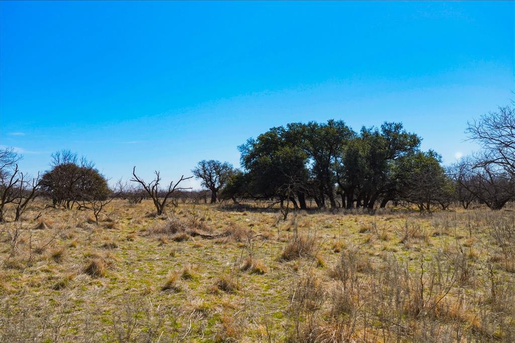 Tbd Roney Road Jacksboro, TX 76458 - Photo 25 of 35 a view of a dry yard with trees