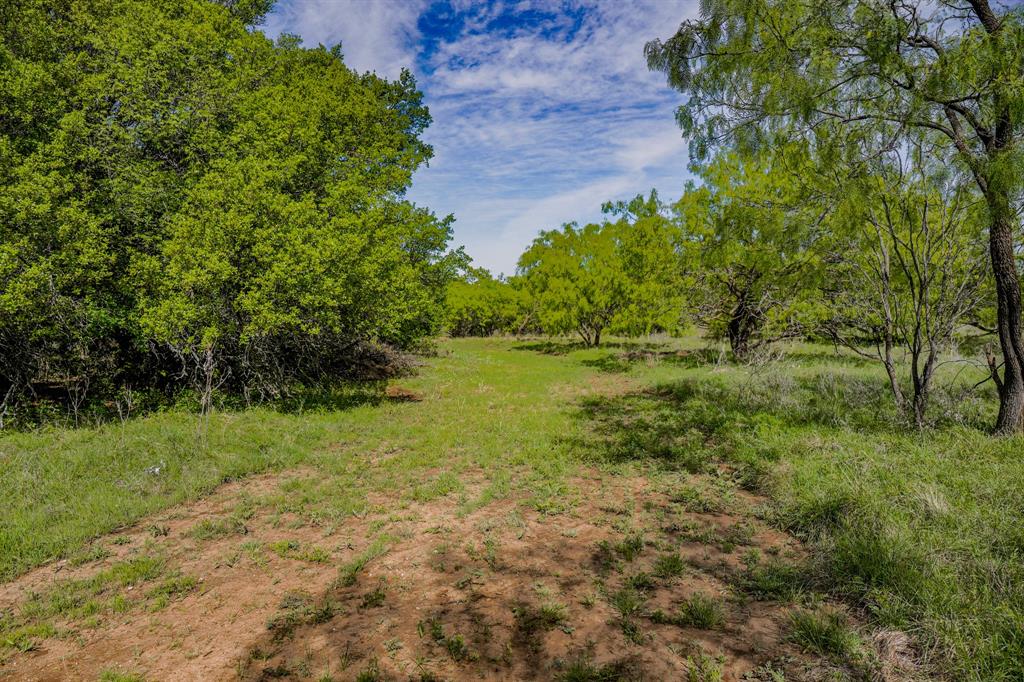 Tbd Roney Road Jacksboro, TX 76458 - Photo 25 of 40 a view of a field with a tree