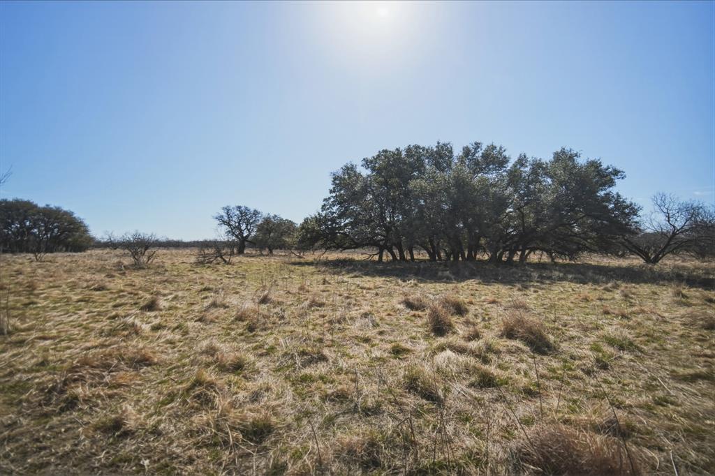 Tbd Roney Road Jacksboro, TX 76458 - Photo 26 of 35 a view of a yard