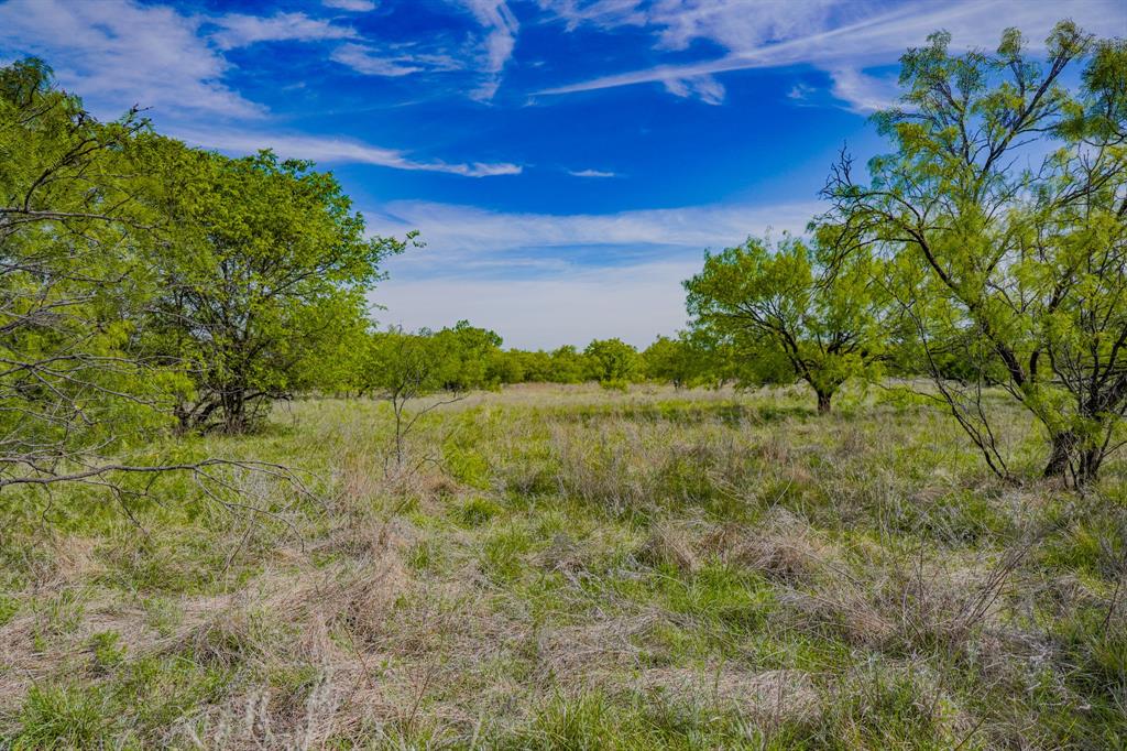 Tbd Roney Road Jacksboro, TX 76458 - Photo 26 of 40 a view of a garden with a lake