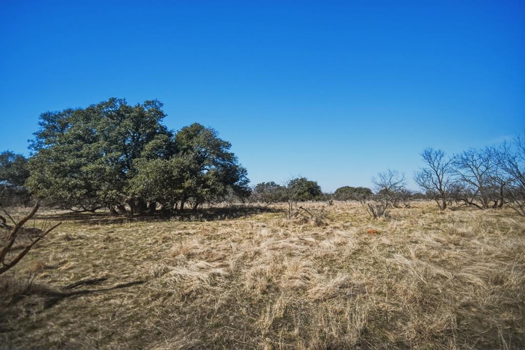 Tbd Roney Road Jacksboro, TX 76458 - Photo 27 of 35 a view of a yard with a tree in the background
