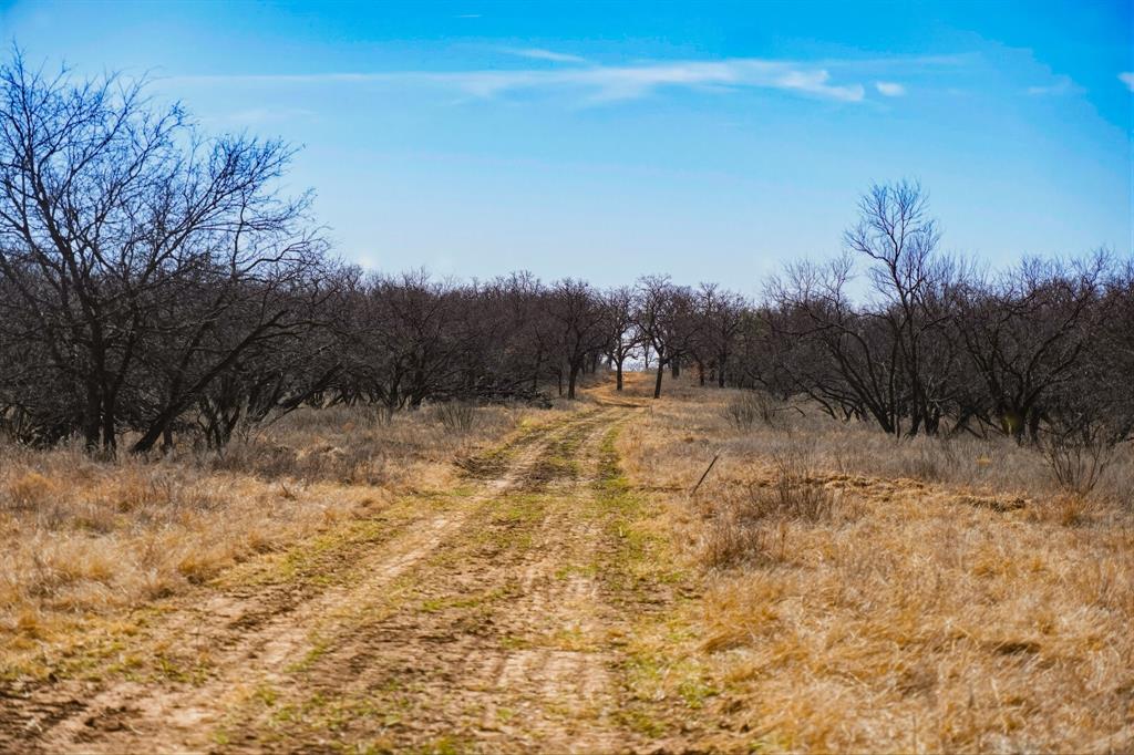 Tbd Roney Road Jacksboro, TX 76458 - Photo 28 of 35 a view of outdoor space with trees all around