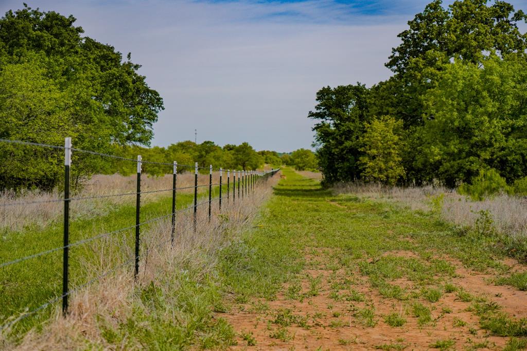 Tbd Roney Road Jacksboro, TX 76458 - Photo 29 of 40 a view of lake view with a garden