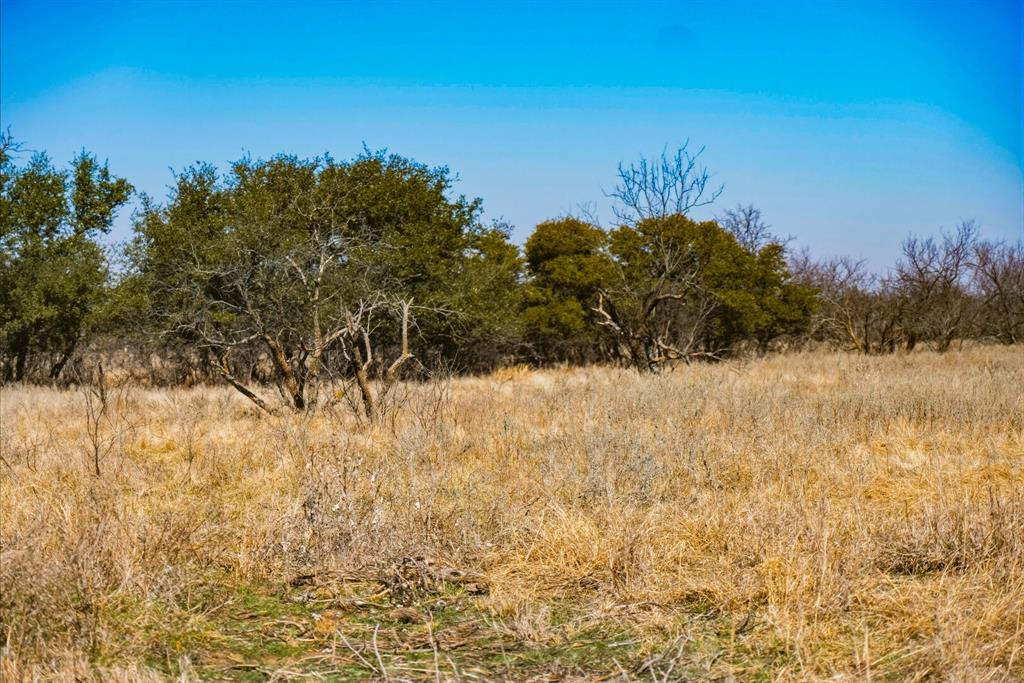 Tbd Roney Road Jacksboro, TX 76458 - Photo 29 of 35 a view of a yard covered with snow in front of house