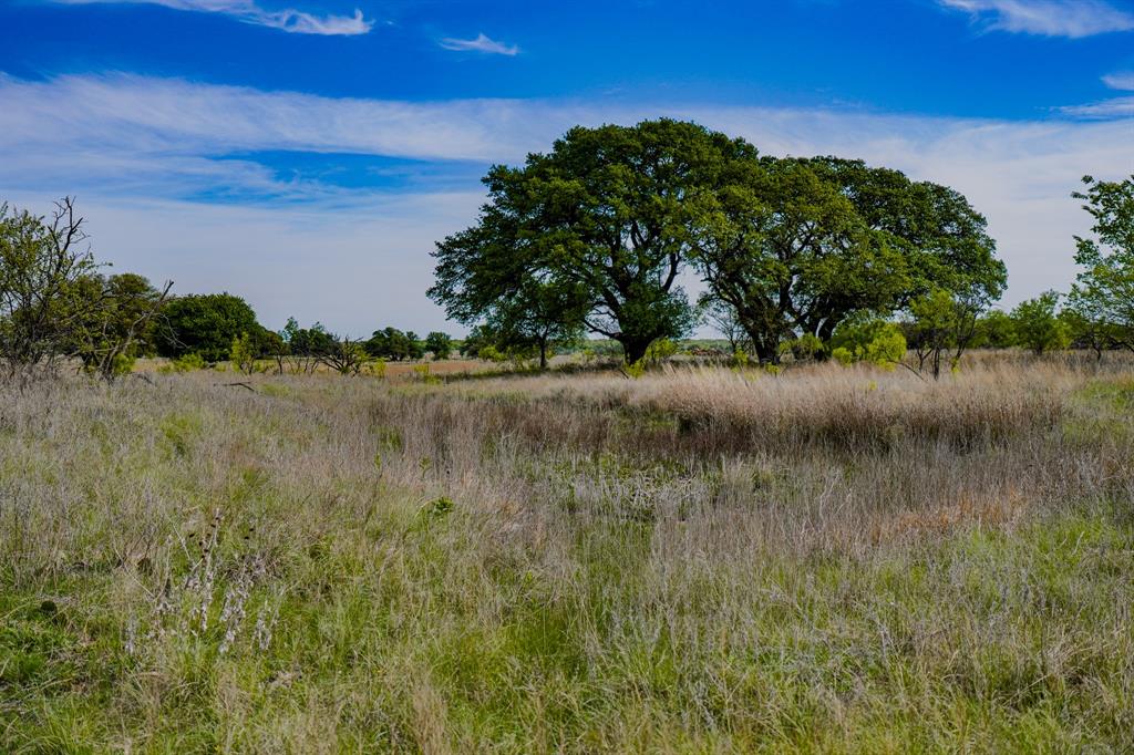 Tbd Roney Road Jacksboro, TX 76458 - Photo 30 of 40