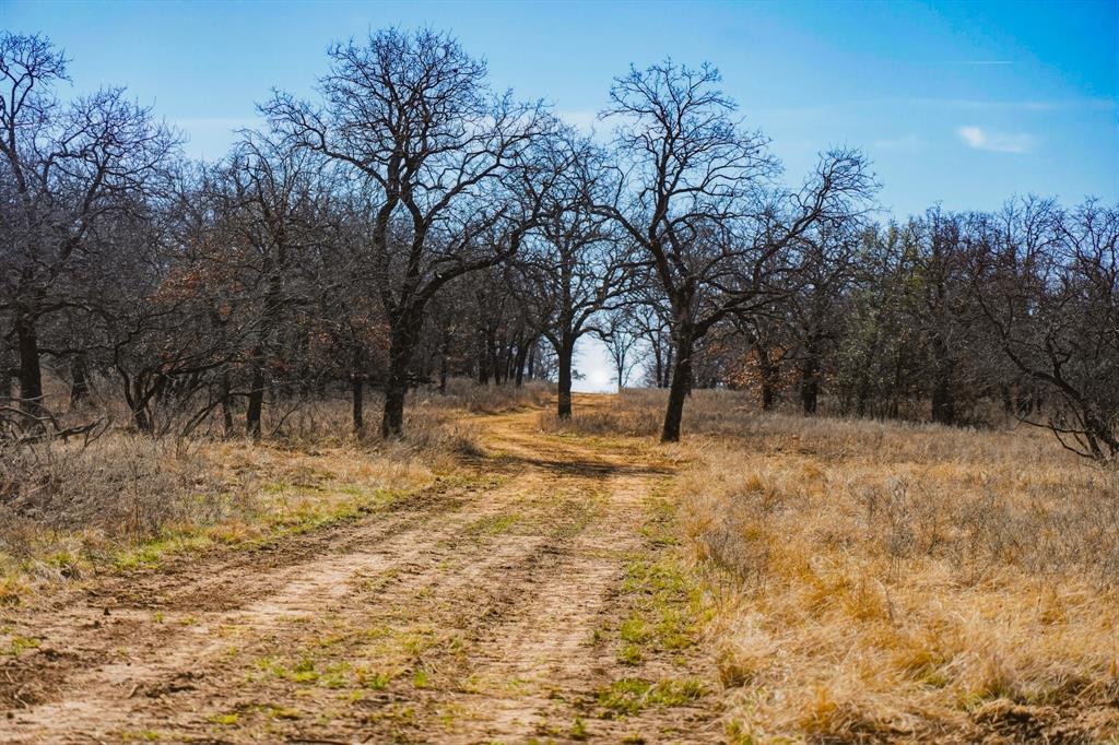 Tbd Roney Road Jacksboro, TX 76458 - Photo 30 of 35 a view of yard with trees