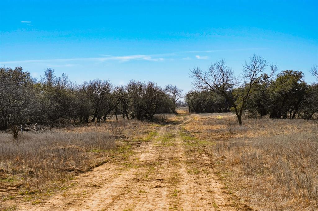 Tbd Roney Road Jacksboro, TX 76458 - Photo 31 of 35 a view of a yard with trees in the background