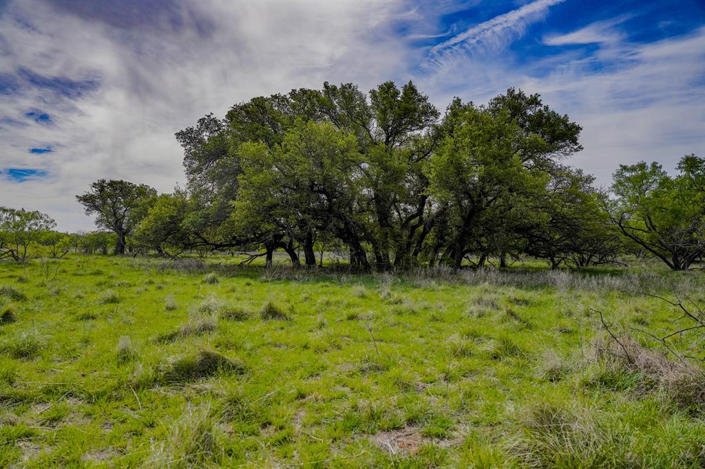 Tbd Roney Road Jacksboro, TX 76458 - Photo 31 of 40 a view of outdoor space