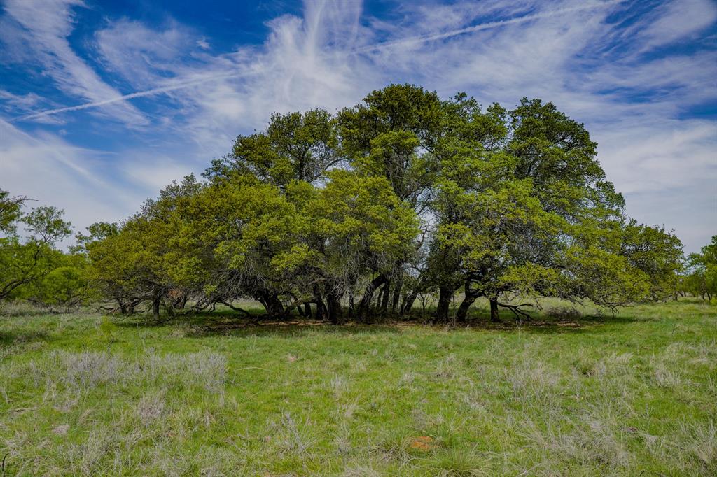 Tbd Roney Road Jacksboro, TX 76458 - Photo 32 of 40 a view of outdoor space