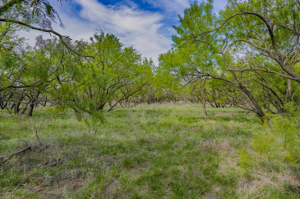 Tbd Roney Road Jacksboro, TX 76458 - Photo 33 of 40 a view of a garden