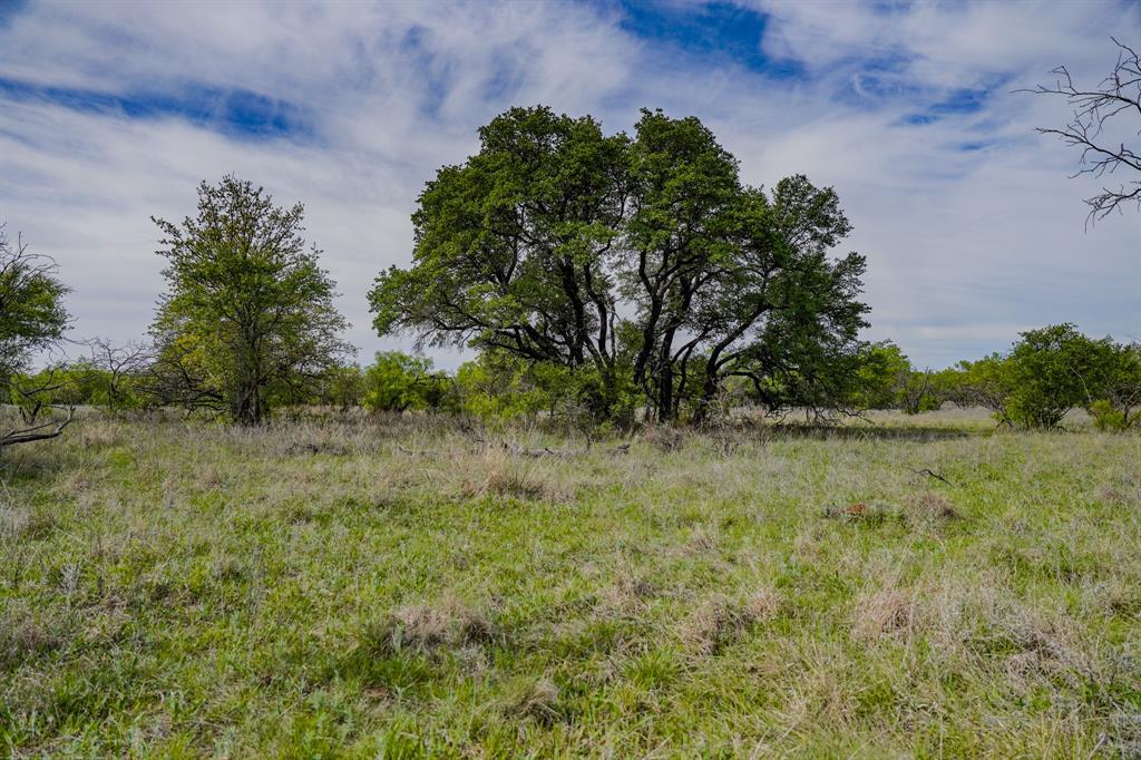 Tbd Roney Road Jacksboro, TX 76458 - Photo 34 of 40 a view of a garden