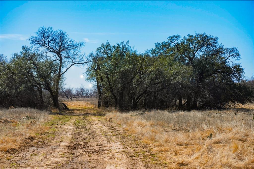 Tbd Roney Road Jacksboro, TX 76458 - Photo 34 of 35