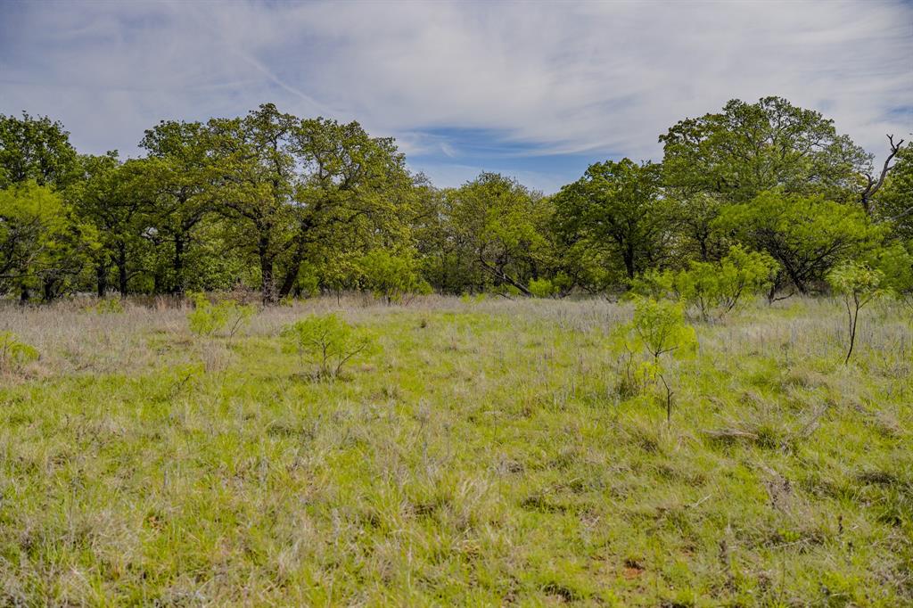 Tbd Roney Road Jacksboro, TX 76458 - Photo 36 of 40 a view of a yard