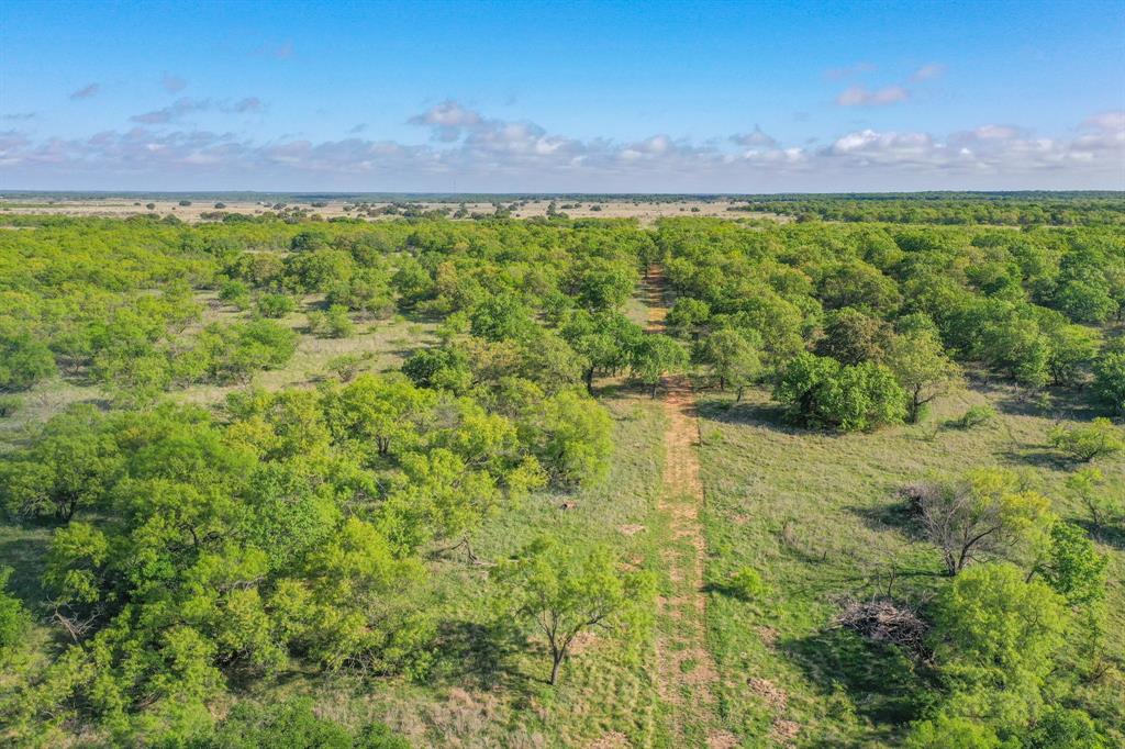 Tbd Roney Road Jacksboro, TX 76458 - Photo 5 of 40 a view of yard with green space