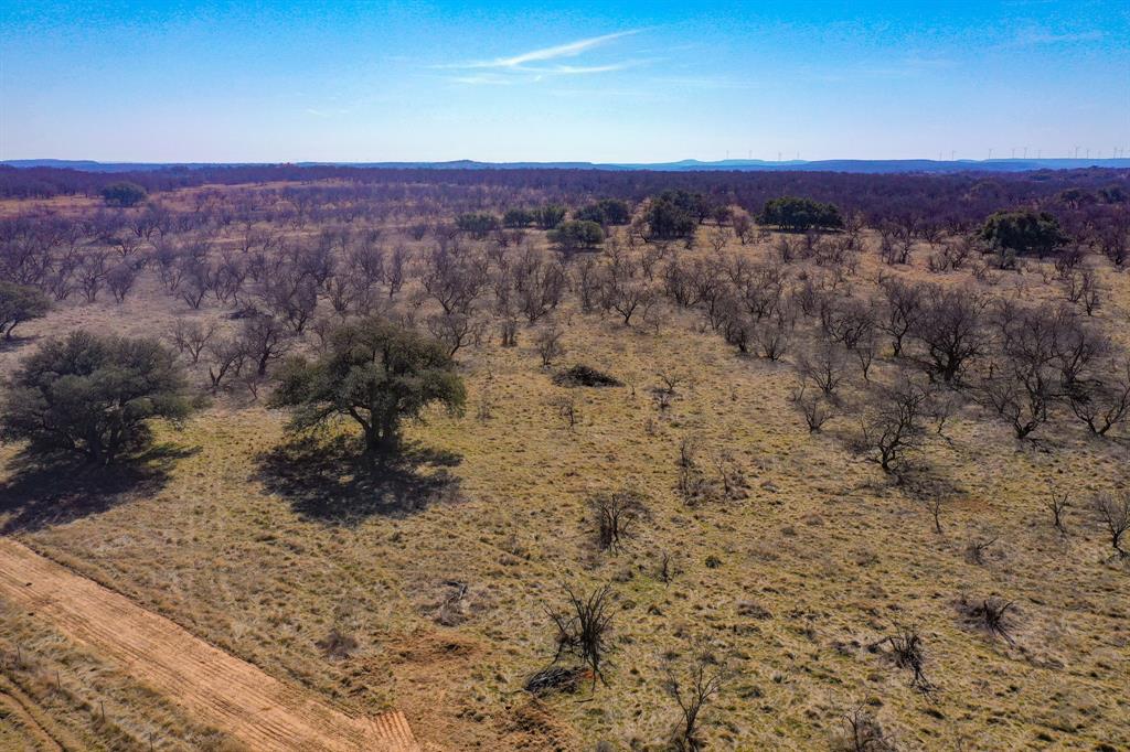 Tbd Roney Road Jacksboro, TX 76458 - Photo 6 of 35 a view of a sky
