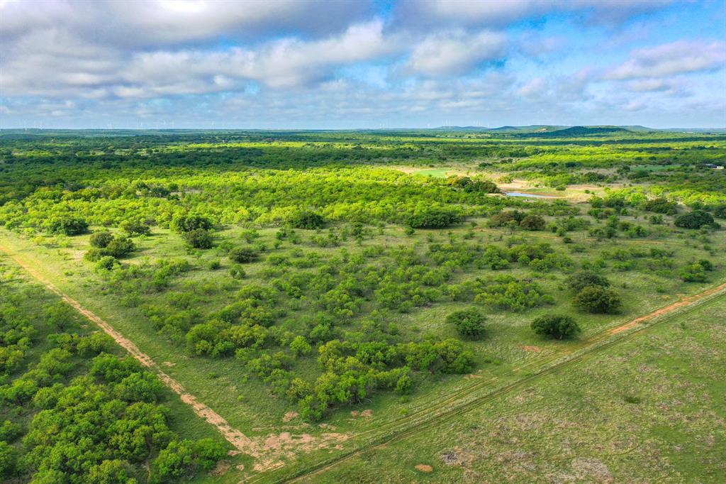 Tbd Roney Road Jacksboro, TX 76458 - Photo 7 of 40 a view of yard with green space