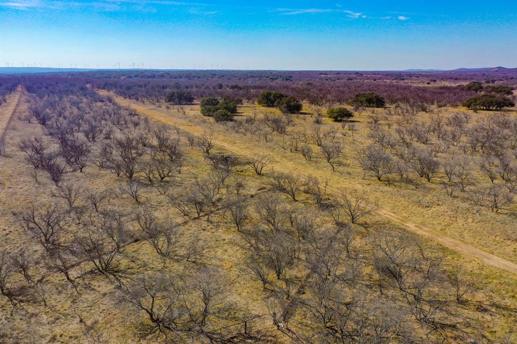 Tbd Roney Road Jacksboro, TX 76458 - Photo 8 of 35