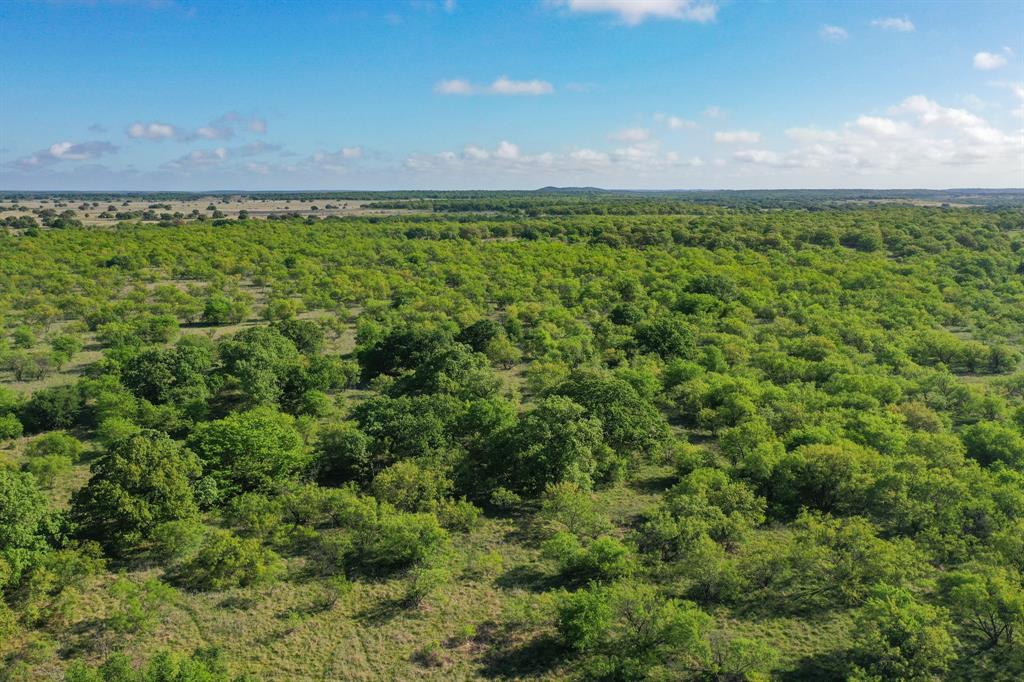Tbd Roney Road Jacksboro, TX 76458 - Photo 10 of 40 a view of a field with an outdoor space