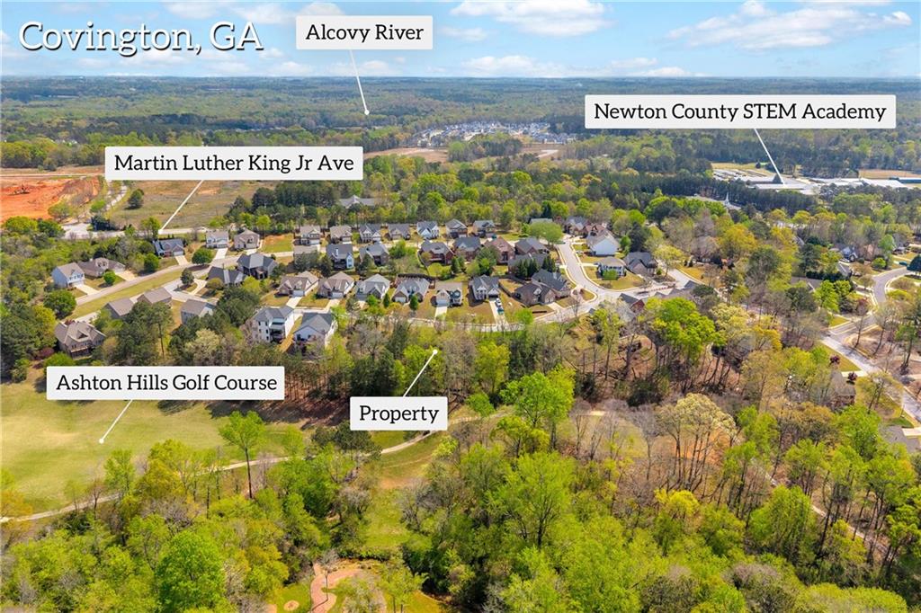 9141 Golfview Lane Covington, GA 30014 - Photo 4 of 12