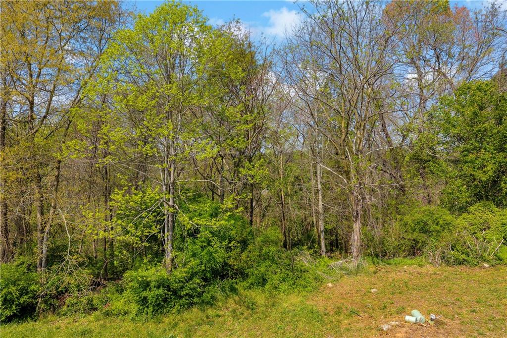 9141 Golfview Lane Covington, GA 30014 - Photo 8 of 12
