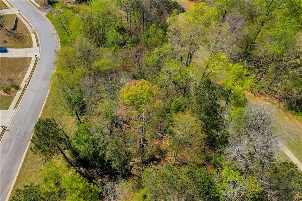 9141 Golfview Lane Covington, GA 30014 - Photo 9 of 12