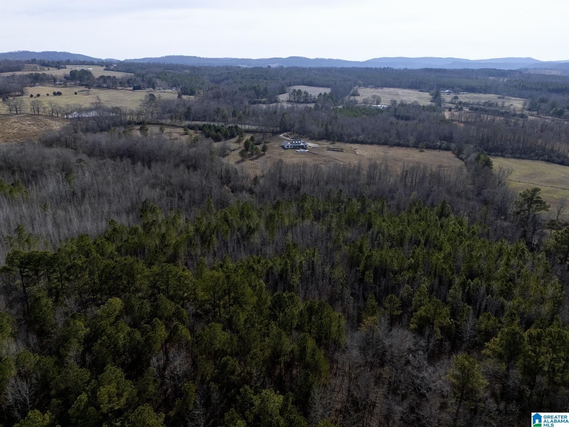 941 Hamm Road Blountsville, AL 35031 - Photo 61 of 67