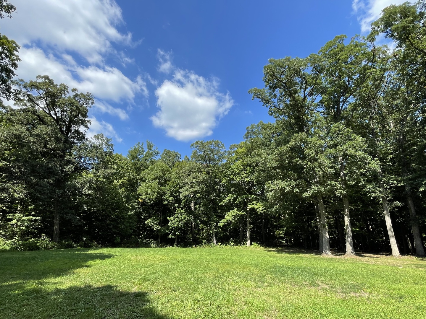12920 Francis Road Mokena, IL 60448 - Photo 2 of 9 a view of building with garden