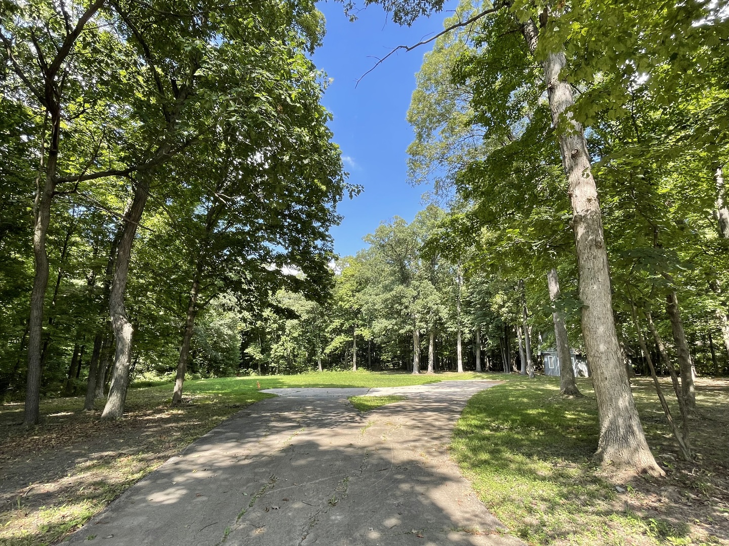 12920 Francis Road Mokena, IL 60448 - Photo 3 of 9 a view of a tree in the middle of a yard