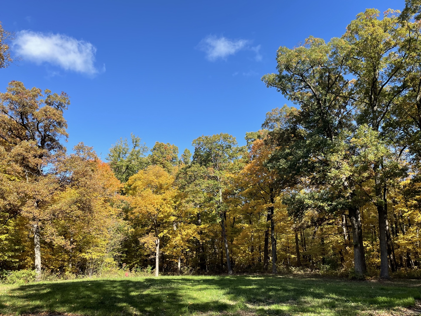 12920 Francis Road Mokena, IL 60448 - Photo 7 of 9 a view of a golf course with a trees